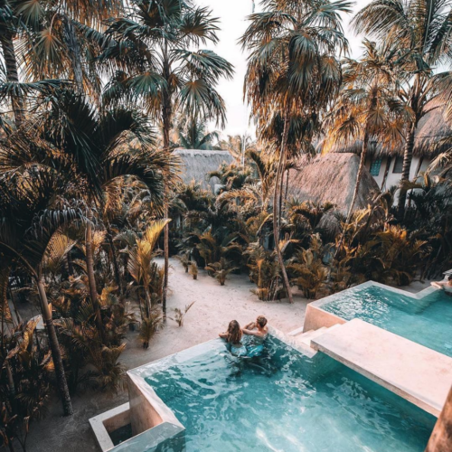 Pool by palm trees