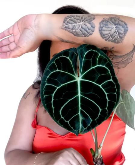Denise Brown with plant tattoos